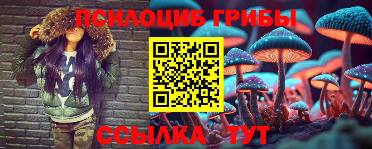 Галлюциногенные грибы GOLDEN TEACHER Острогожск