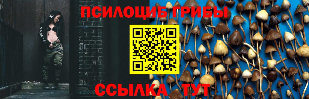 Острогожск  Псилоцибиновые грибы прущие грибы  Галлюциногенные грибы Psilocybine cubensis  Вход с VPN 