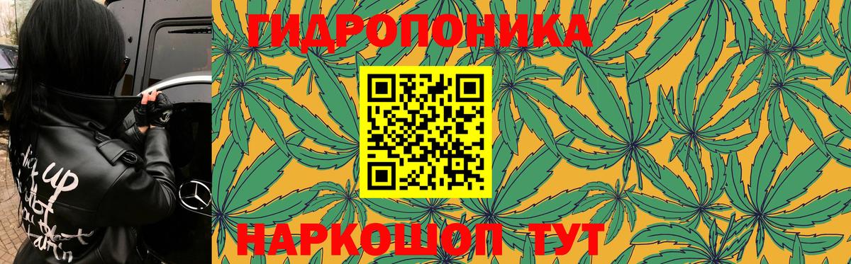 Бошки Шишки марихуана  Бошки Шишки Ganja  Шишки марихуана Amnesia  Острогожск 